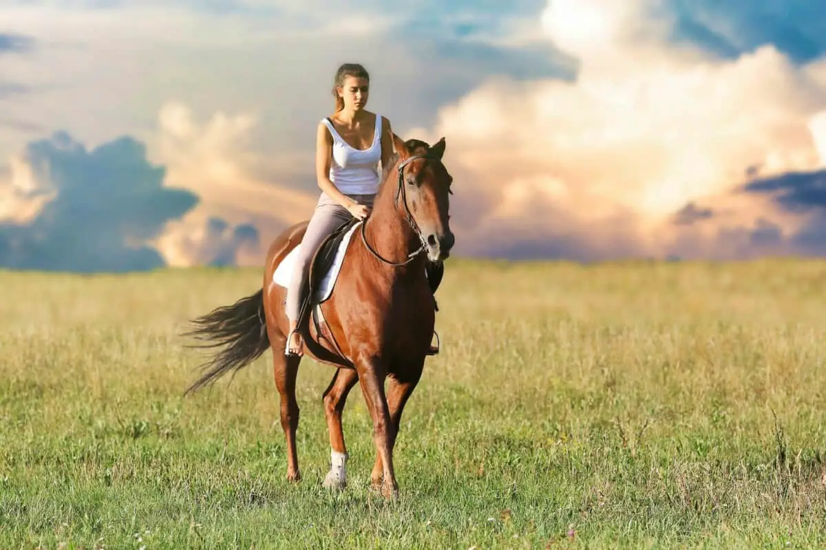 Horse Rider Riding A Horse Outdoors