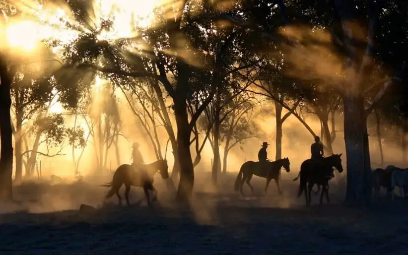 Cowboys Riding At Sunset
