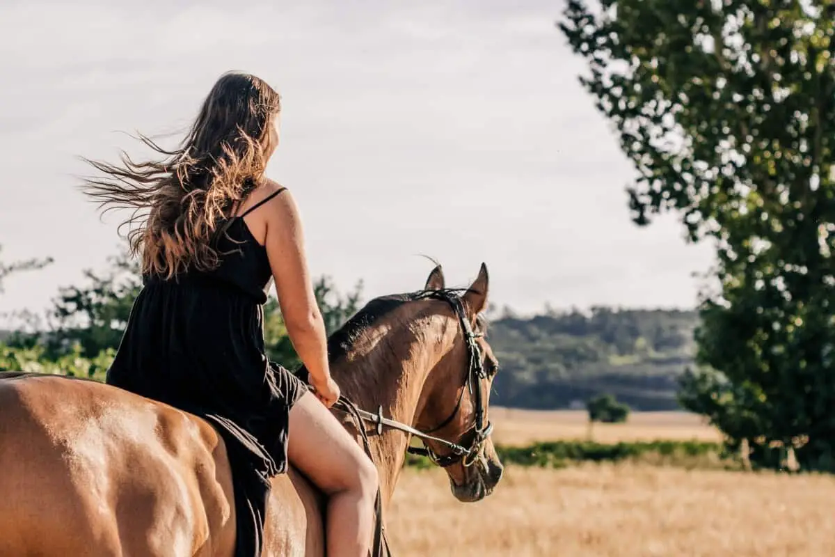 Lady Trotting On A Horse