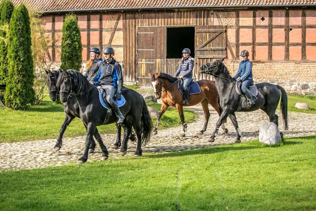 horse riding tours europe