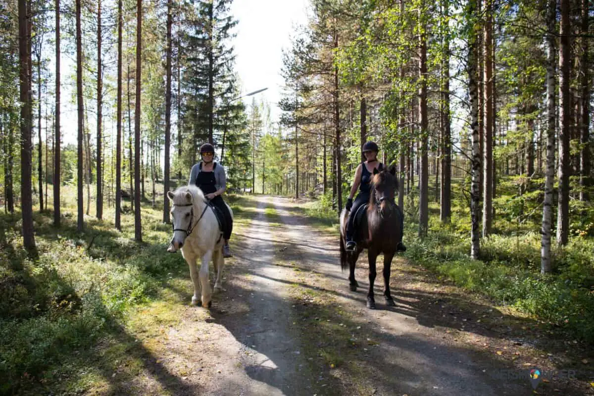 Horse Riding Holiday in Svansele, Swedish Lapland