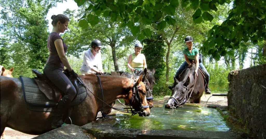 horse riding tours europe