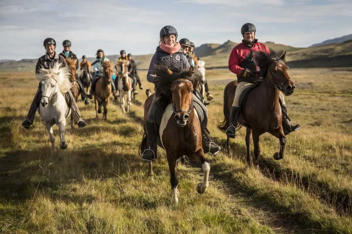 Horse Riding Holiday with Free Running Herd in the Icelandic Highlands, Iceland