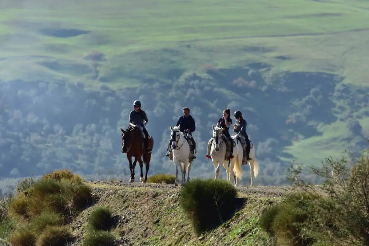 Riding in Sierra de las Nieves Natural Park, Andalusia