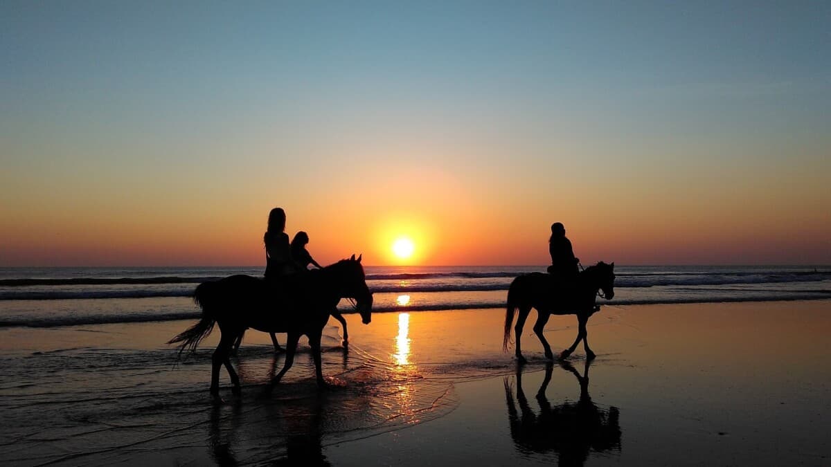 Riding Horses At Sunset