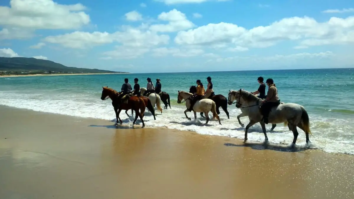 Horse Riding Holidays Spain