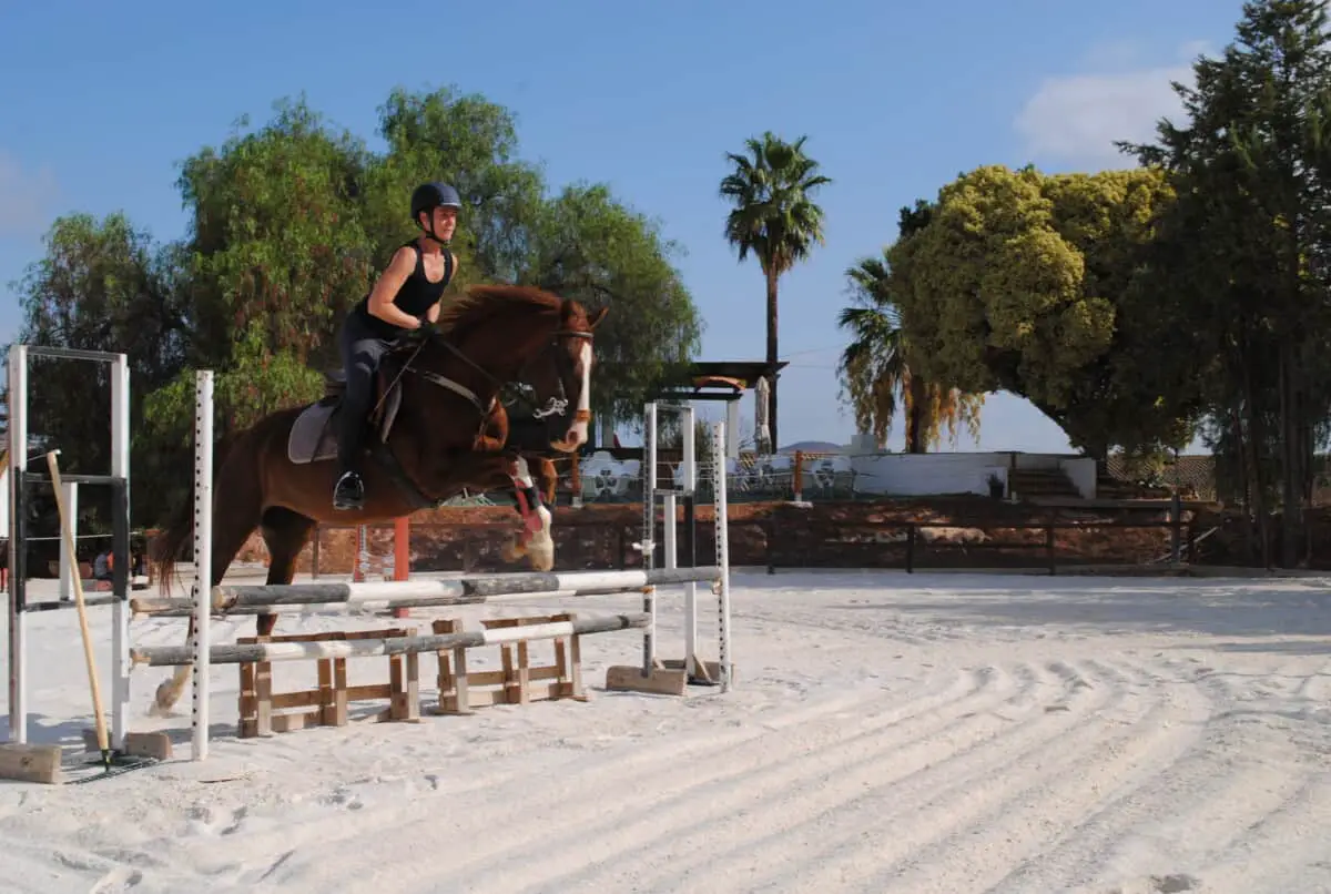 Showjumping Holiday In Malaga