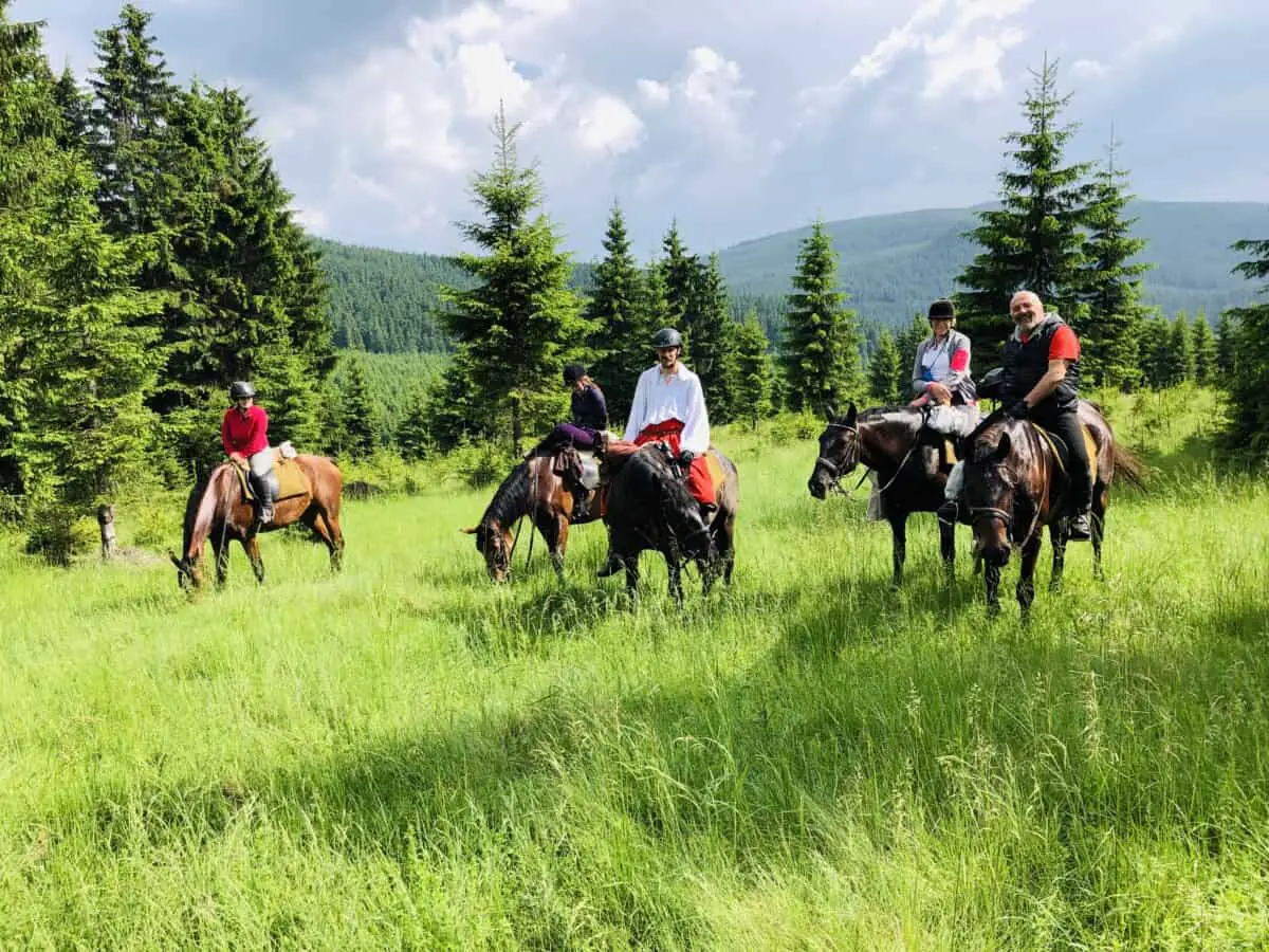 Transylvanian Horse Riding Adventure in Romania
