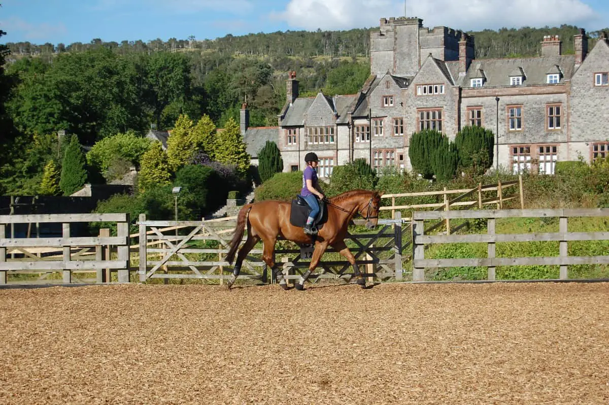 10 Amazing Horse Riding Holidays In The UK