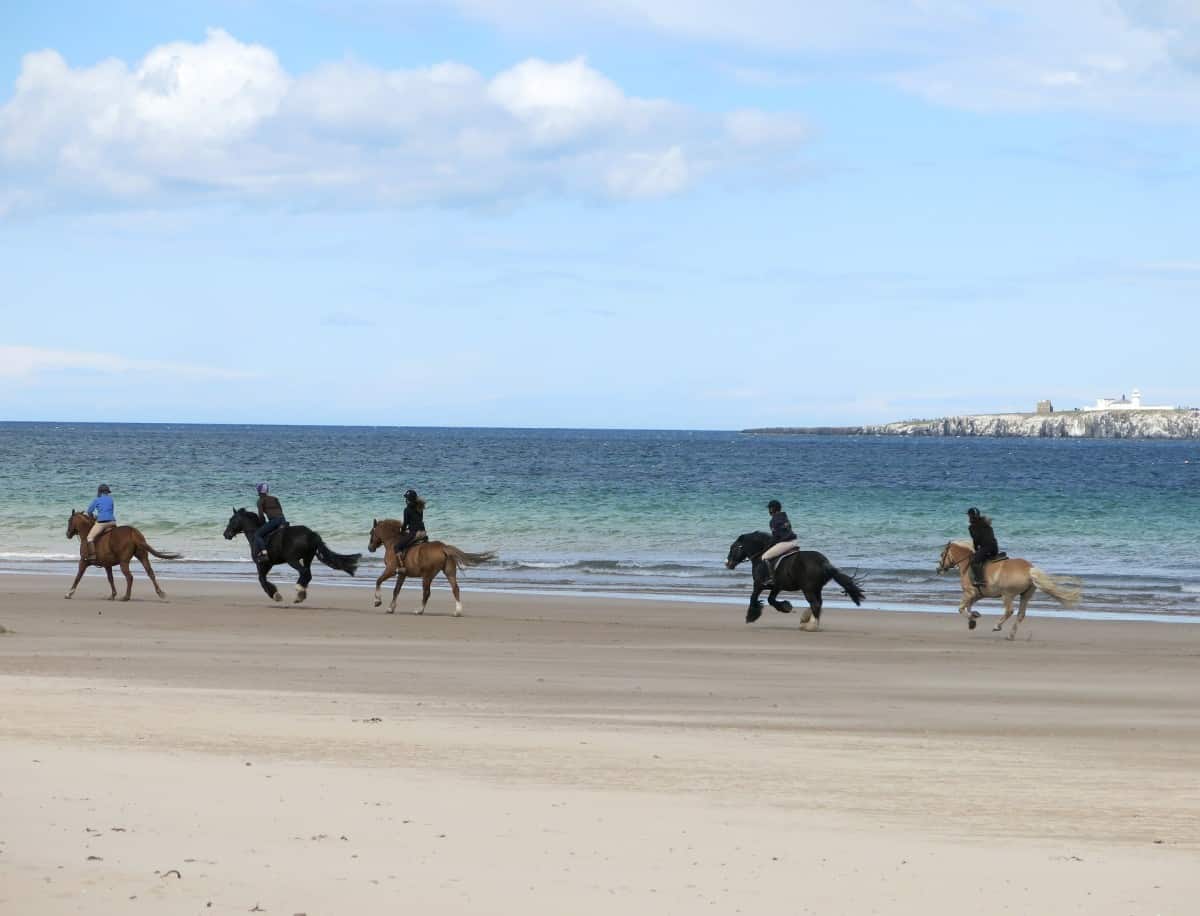 Horse Riding By The Coast