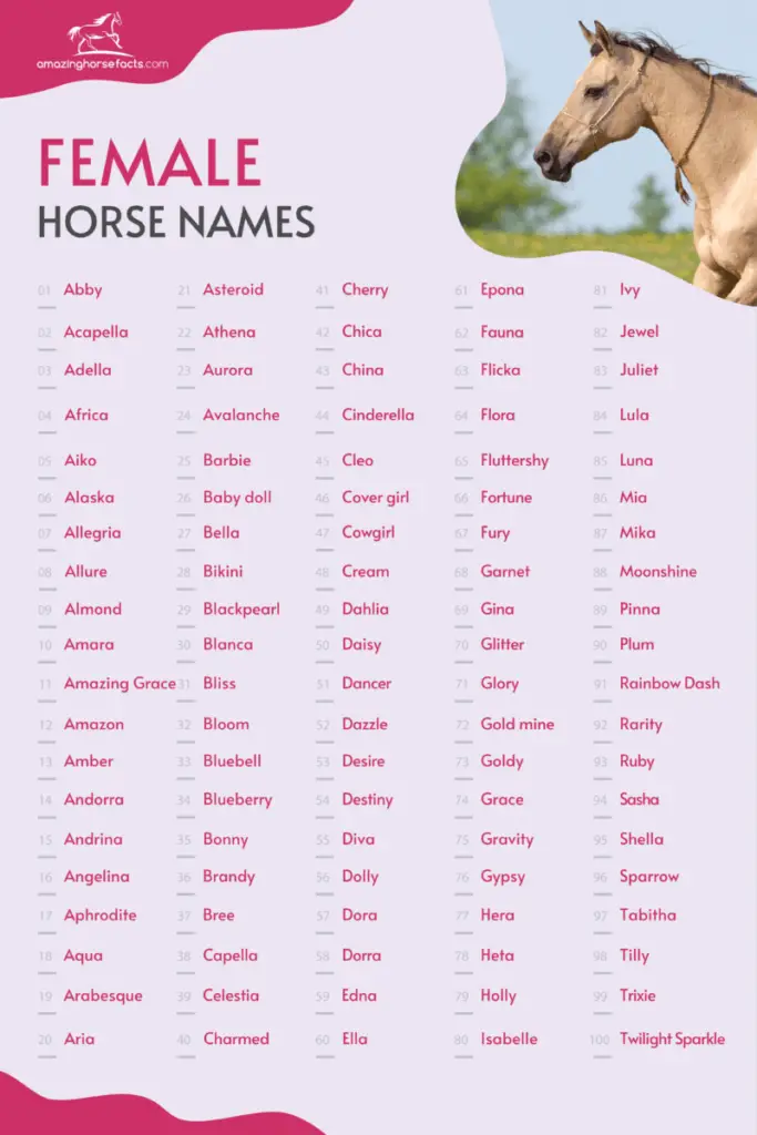 655-female-horse-names-beautiful-mare-or-filly-ideas