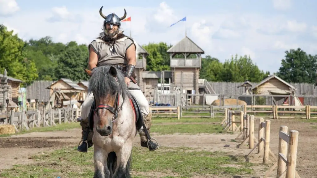 Viking Riding A Horse