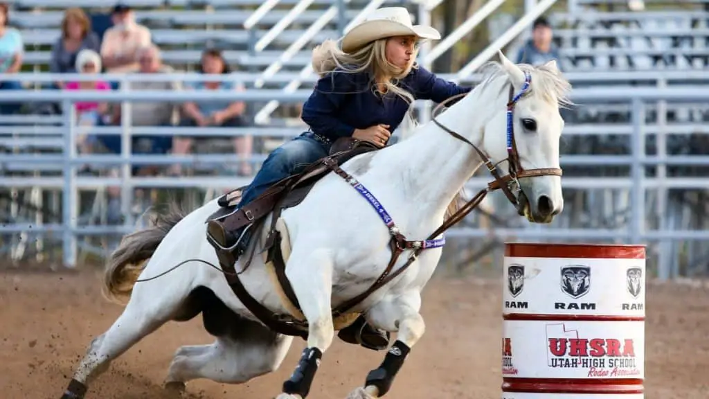 Barrel Horse Names