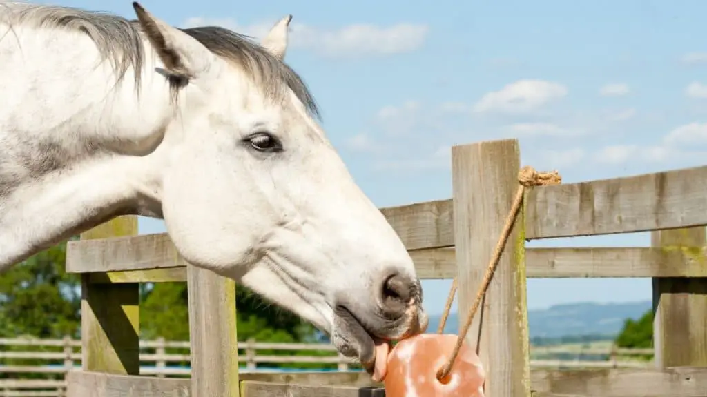 Why Do Horses Lick Salt?