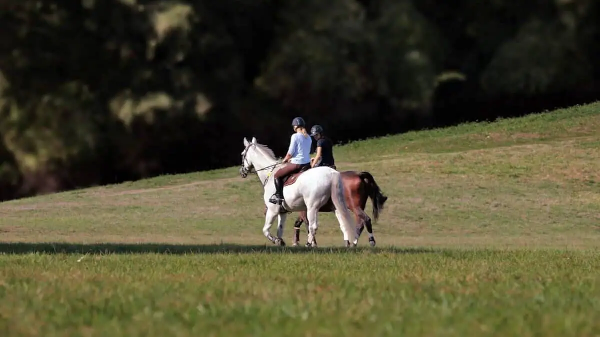 Horse Riding