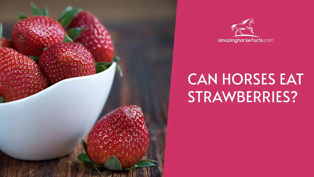 Can Horses Eat Strawberries