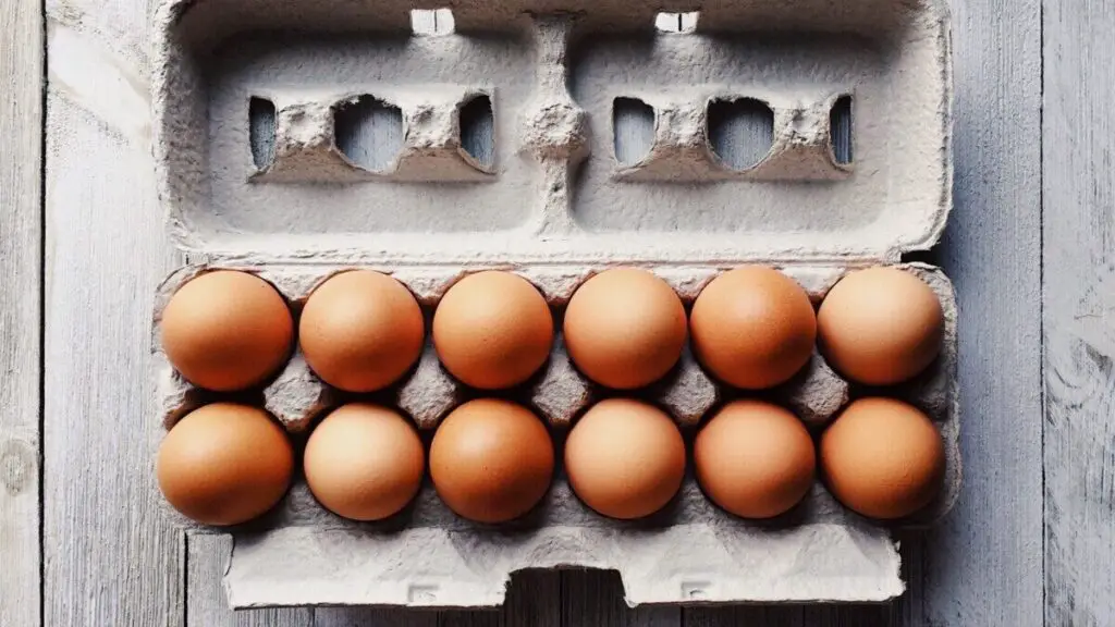 Can Horses Eat Eggs? (A Complete Guide) AHF