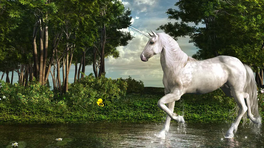 What Is The Difference Between A Unicorn And A Horse? - AHF