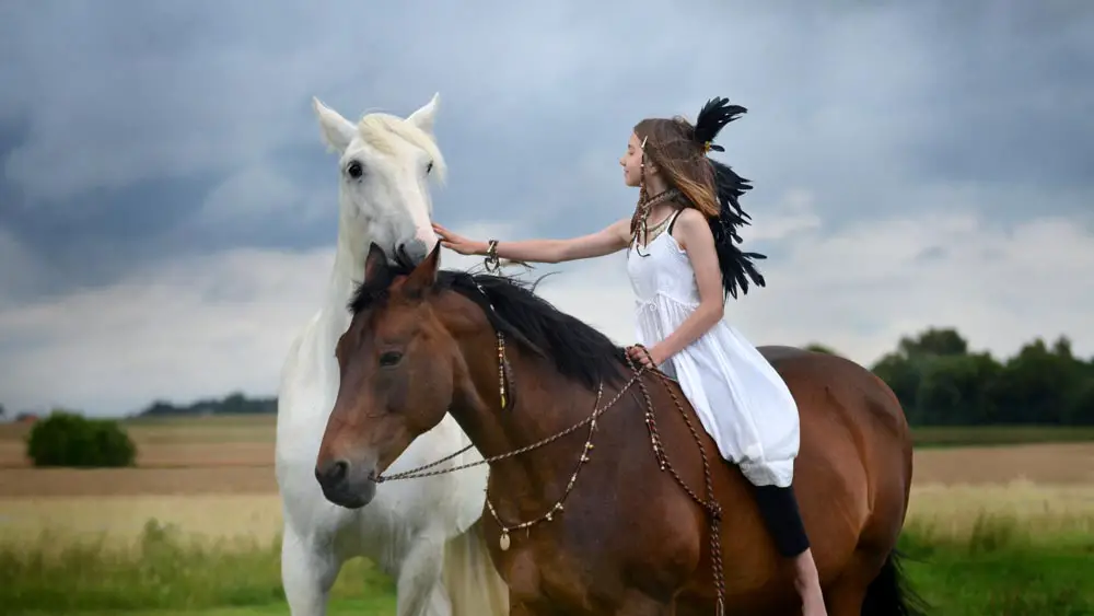 Native American Girl With Horses